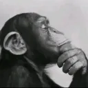 thethinker