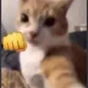 JoeFist