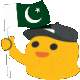ST_PAKISTANZINDABAD Discord emoji