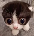 O_O