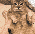 outputonlinegiftools1