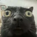 my_reaction
