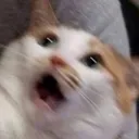 wuh