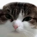 ohTheMisery