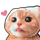 catheart_cc catheart_cc