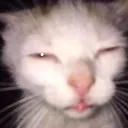 hi