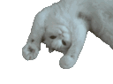 ggg_hi animated GIF emoji | XO
