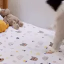 aminjubedtime aminjubedtime