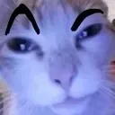 334