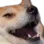 bork
