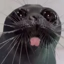 sealblep