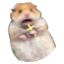 scaredHamster