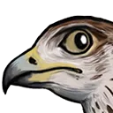 SenuSideEye