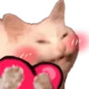 cattoblushheart