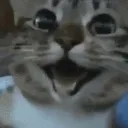 happy