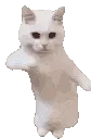 catTime