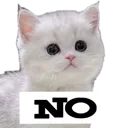no no