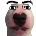 walter
