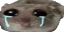 ohcry