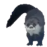 OtterDance