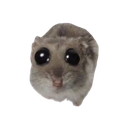 hamster Discord emoji