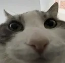 lookinsde