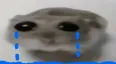 ohsad