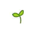 2_sprout