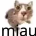 CDR_miau