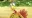 emoji_33