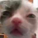 whar