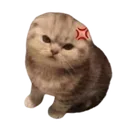 5864 Kittyangy Discord Emoji