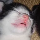 sleepy