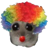 ClownHamster