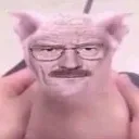 waltuhcat waltuhcat