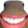 feshgrin