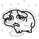 cry