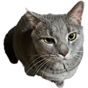 IMG_20240118_082738V3