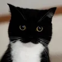 concerned