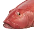 365e5f865cfd4da3bd131546bc1e5c1f