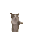 HAPPYKITTY