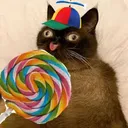 silly