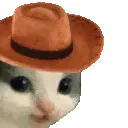 tipsHat