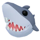 shark