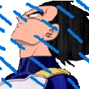 VegetaRain128