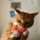 joyeatingwatermelon