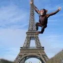 austinparis