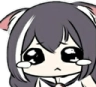 RT_Nekocry Discord emoji
