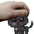 PetTheBean