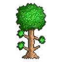 1421427109_treeterrariatreelogop